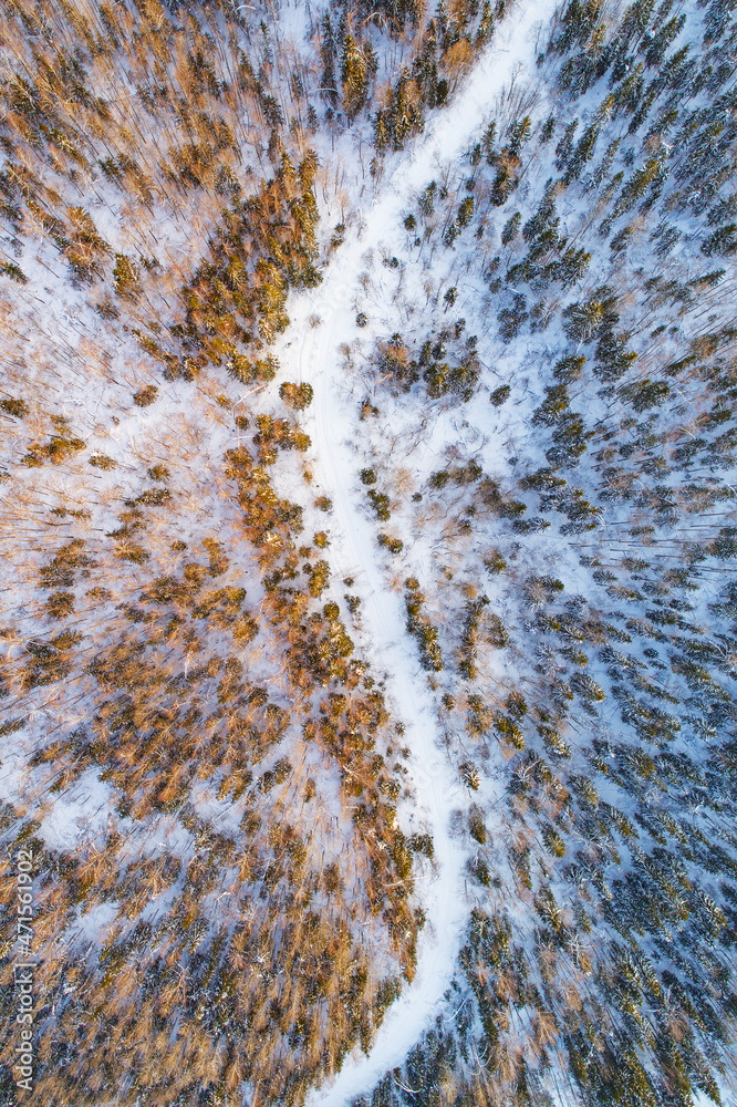 Aerial view of white road in winter forest