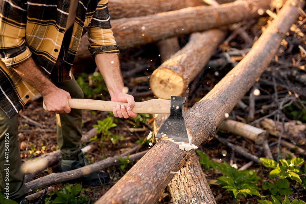 Cropped hardworking man in casual shirt chops wood with ax in forest. guy in work clothes chops tree into logs with an old cleaver in the middle of coniferous forest,at summer evening alone. Cropped hardworking man in casual shirt chops wood with ax in forest. guy in work clothes chops tree into logs with an old cleaver in the middle of coniferous forest,at summer evening alone.