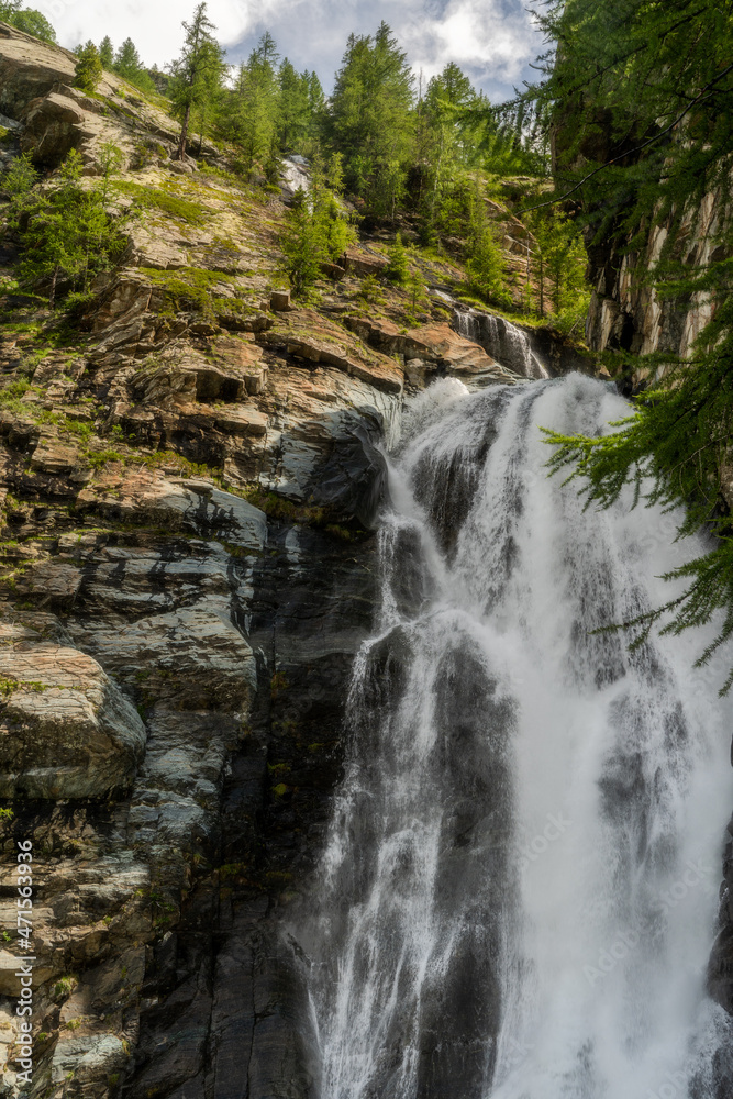 Fototapeta premium cate di Lillaz