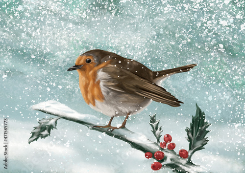 Canvas Print Robin redbreast on a snowy bough
