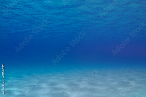 A nice open underwater scene showing infinite blue water sandwiched between a sandy bottom and the surface of the sea. The pure environment provides a perfect background