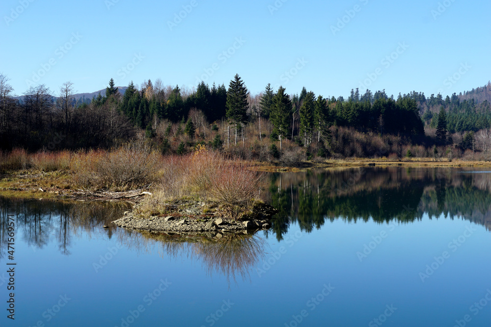 Nature landscape with forest in the background and lake in the foreground