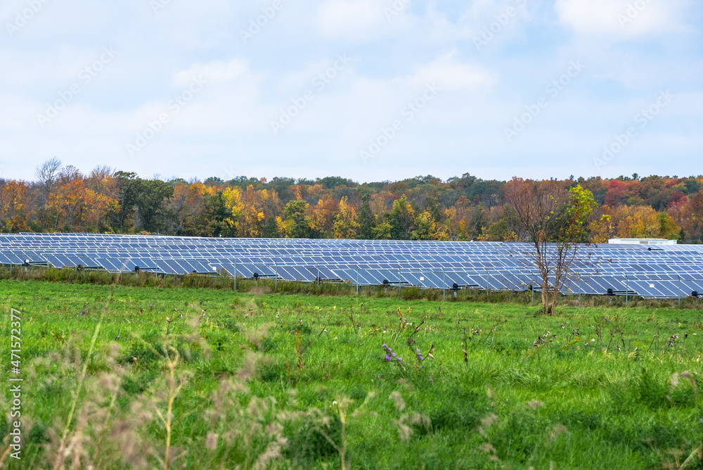 Rows of solar panels in a field with autumn trees in background on a cloudy day