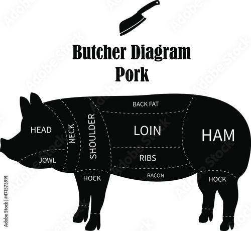 Butcher diagram. Cuts of pork meat for butchery, meat shop, restaurant, grocery store. Vector illustration