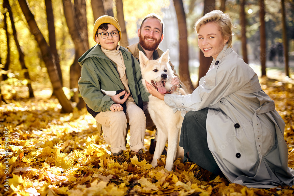 Beautiful happy family is having fun with akita inu outdoors. Mother, father and son with dog akita inu on yellow leaves in park. attractive male, female with son walking in forest. human emotions Beautiful happy family is having fun with akita inu outdoors. Mother, father and son with dog akita inu on yellow leaves in park. attractive male, female with son walking in forest. human emotions