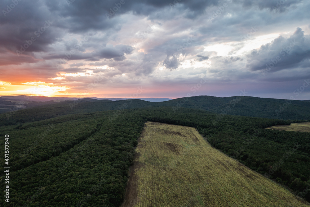 Drone view of large sunflower field in Burgas county in Bulgaria