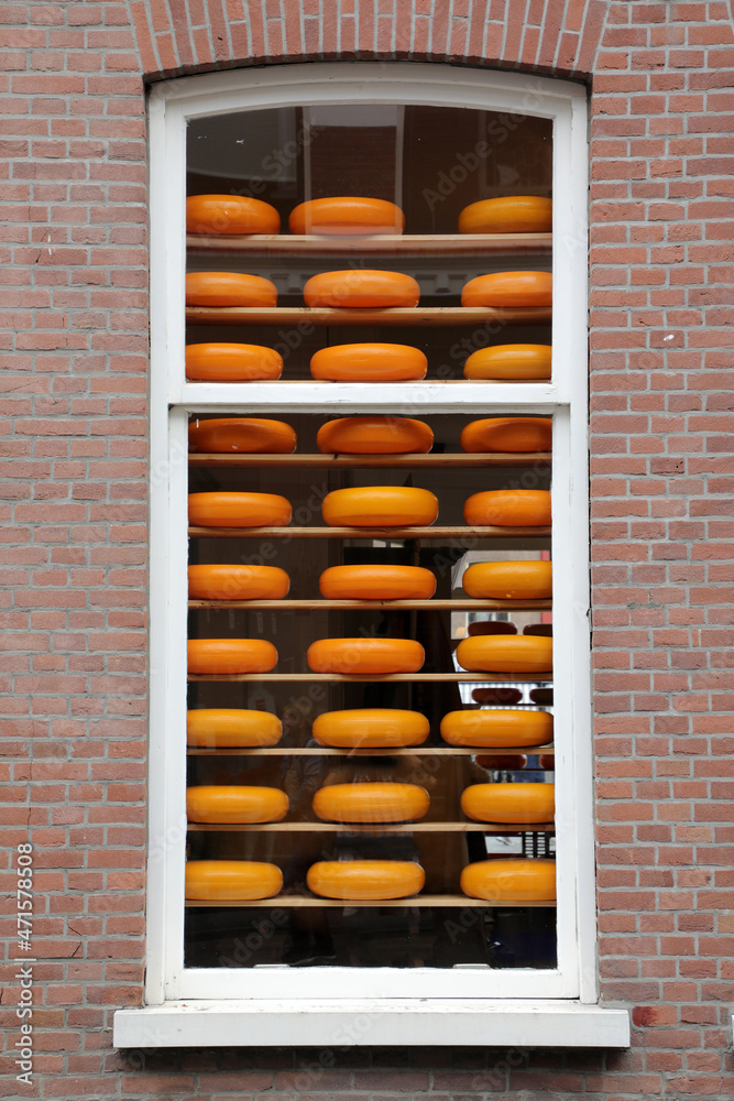 Delft - Käse im Fenster - Niederlande Delft - Käse im Fenster - Niederlande