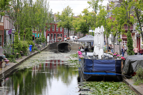 Delft - Kanal mit Algen und Seerosen - Niederlande 