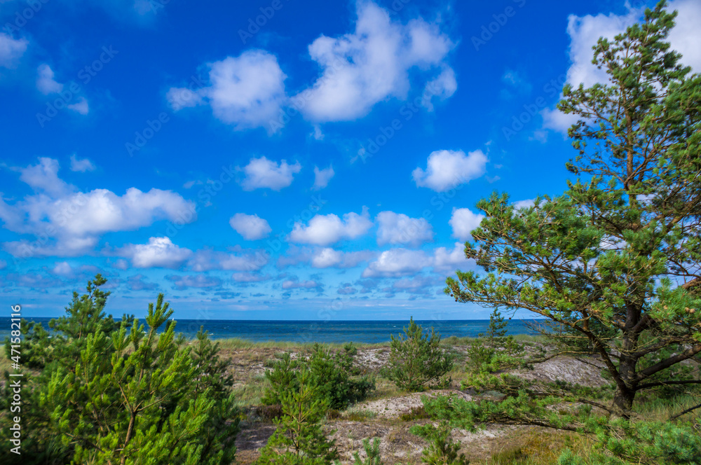 dunes over the Baltic Sea