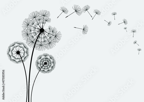 Vector Dandelion blowing silhouette.Vector isolated decoration element from scattered silhouettes. 