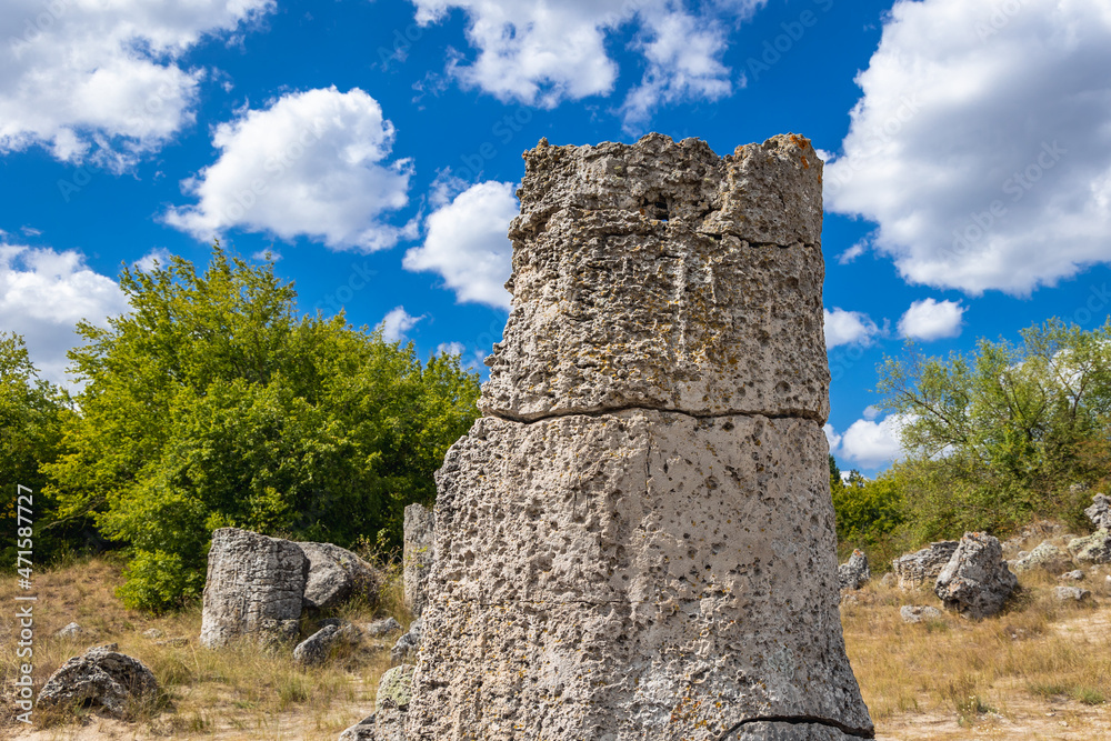 Stone column in Pobiti Kamani - natural phenomenon called Stone Forest in Bulgaria