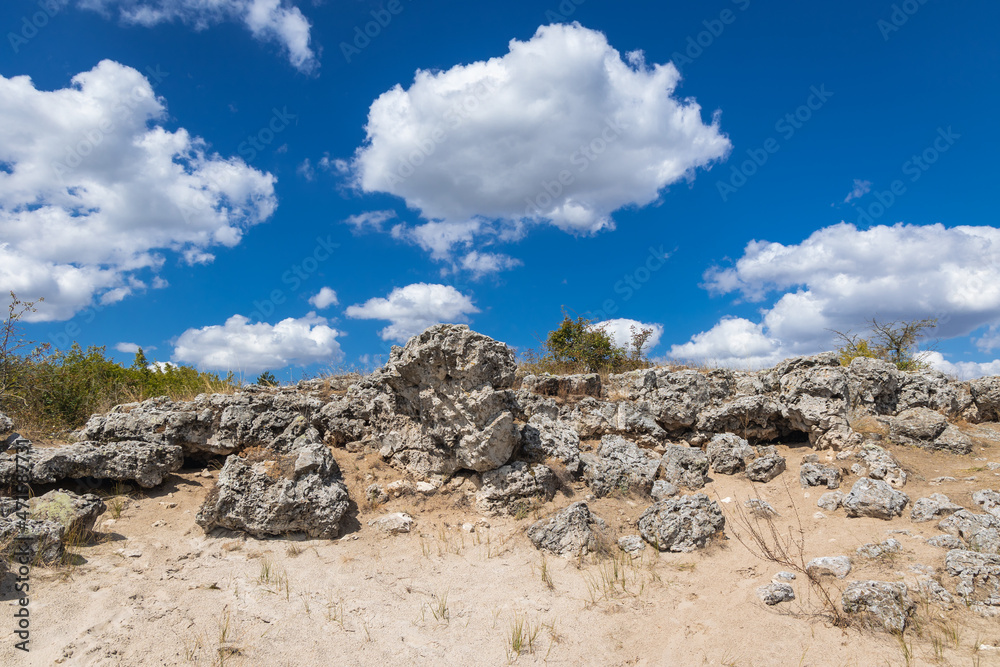 Rocks in Pobiti Kamani - natural phenomenon also known as The Stone Forest in Bulgaria