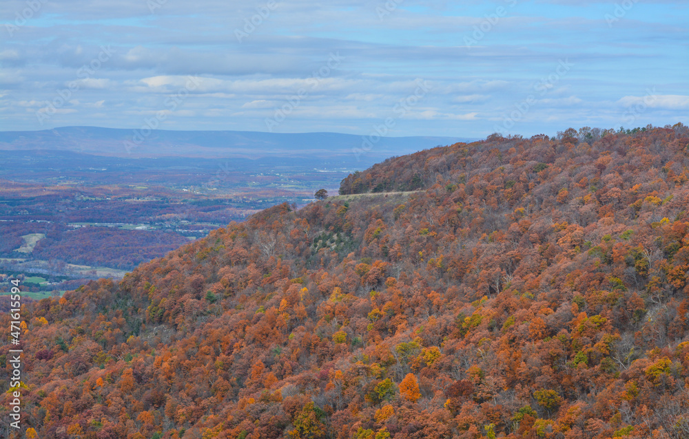 The Fall mountain hillside in Shenandoah National Park on the Blue Ridge Mountains of Virginia
