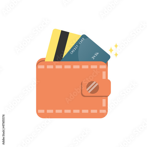 2 credit cards front and backside in the wallet cartoon vector