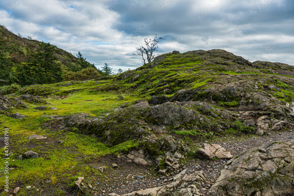 summit of a small hill covered with green moss under the overcast cloudy sky