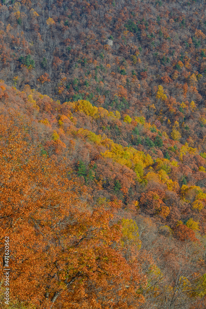 The beautiful view from Skyline Drive in Shenandoah National Park on the Blue Ridge Mountains of Virginia The beautiful view from Skyline Drive in Shenandoah National Park on the Blue Ridge Mountains of Virginia