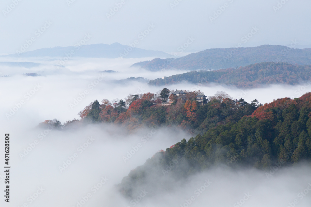 雲海と紅葉が美しい天空の城　備中松山城