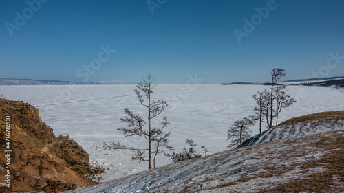 The frozen lake is covered with snow. Traces of car tires on the surface. Bare trees on the shore. Clear blue sky. Baikal.