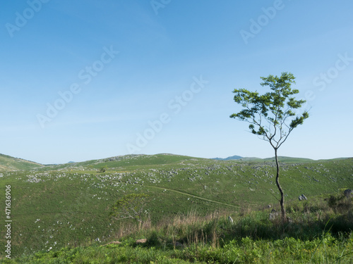 青い空と秋吉台。Blue sky and Akiyoshidai. photo