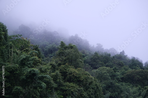 fog on the mountain © LatteThailand
