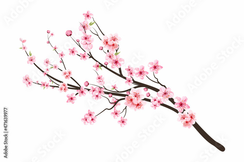 Carta da parati Pink sakura flower background