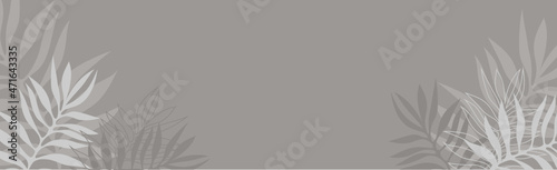 banner with leaves, palm leaves, tropics, craft, postcard, branch, palm branch