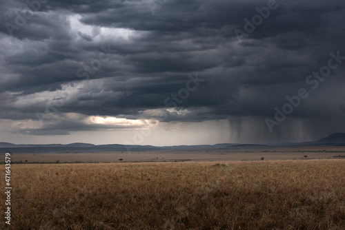 Rain over the Masai Mara, Kenya.