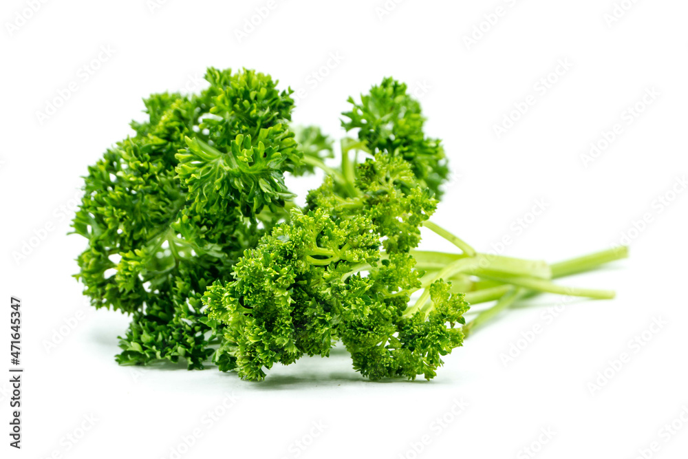 Parsley isolated on white background Parsley isolated on white background