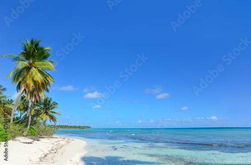Palm trees on a exotic tropical beach. Summer holiday and vacation concept background.