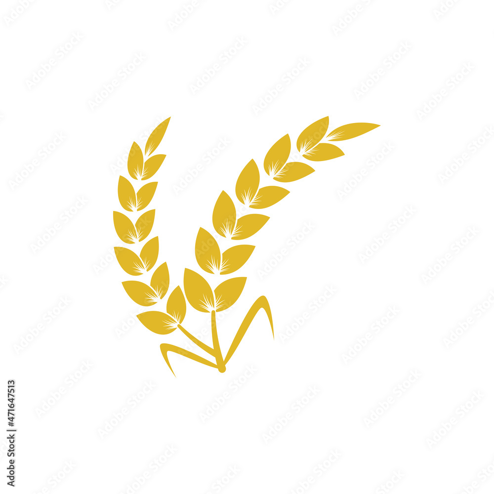 wheat logo icon design template vector
