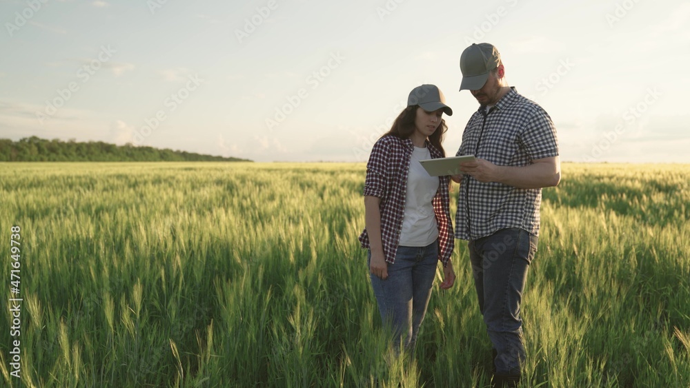 farmers shake hands on field with wheat, teamwork in agriculture, business for production of grain products, meeting of agronomists plantations land, looking into tablet while standing soil with rye