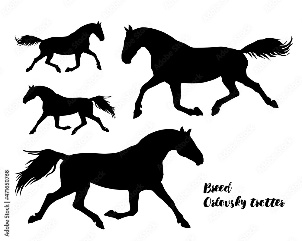 a set of realistic black silhouettes of running horses isolated on a white background a set of realistic black silhouettes of running horses isolated on a white background