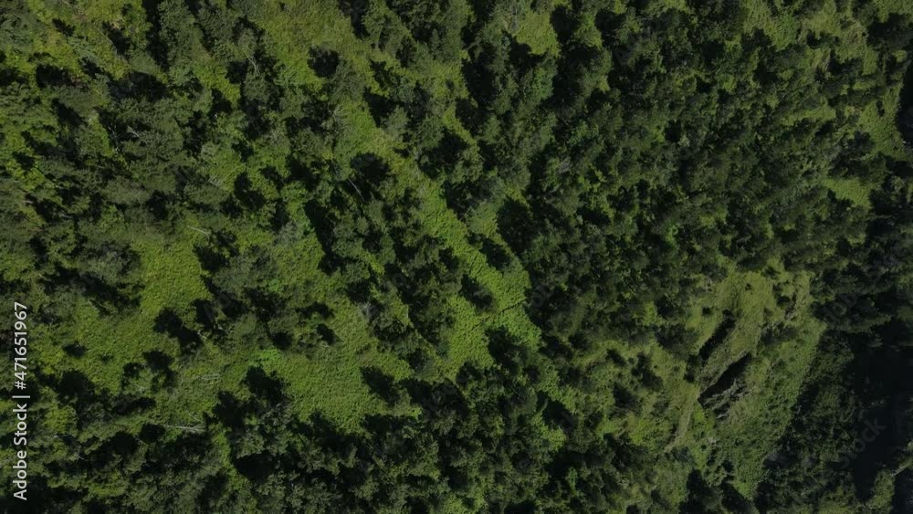 Aerial photography of the green mountain hill in summer. Mid-day mountain terrain Aerial photography of the green mountain hill in summer. Mid-day mountain terrain