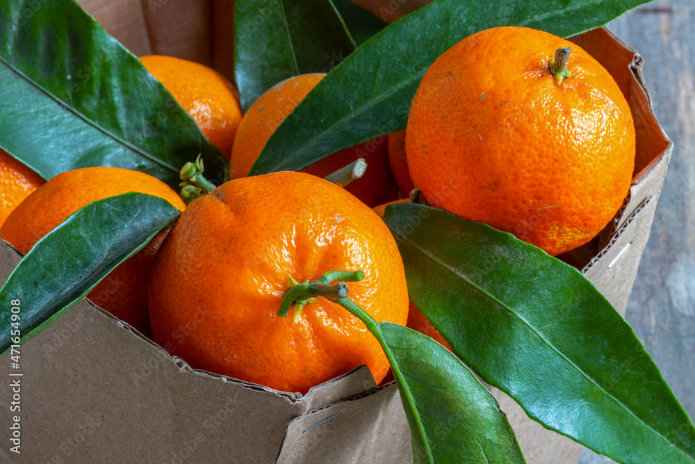 Clémentines de Corse et leurs feuilles dans un emballage en carton sur fond de vieilles planches