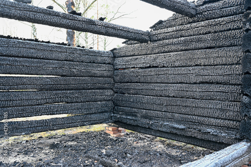 durned down windbreak at restingplace near lake photo