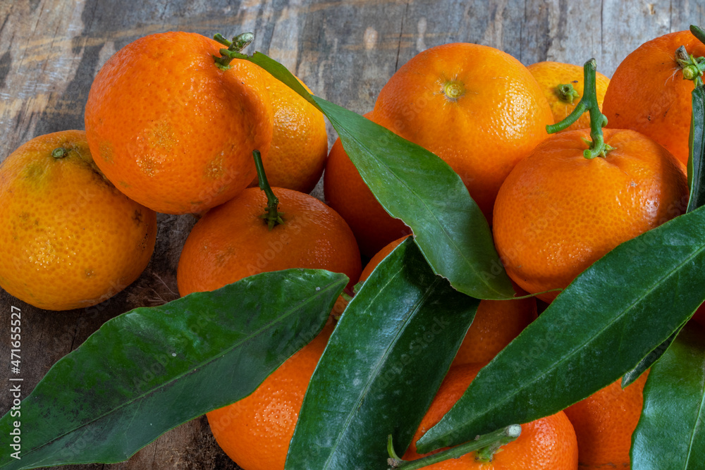 Clémentines de Corse et leurs feuilles sur fond de vieilles planches Stock Photo Adobe Stock