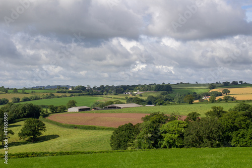 distant Devon rolling hills with green grazing land  hedgerows and trees with a few white clouds and blue skies