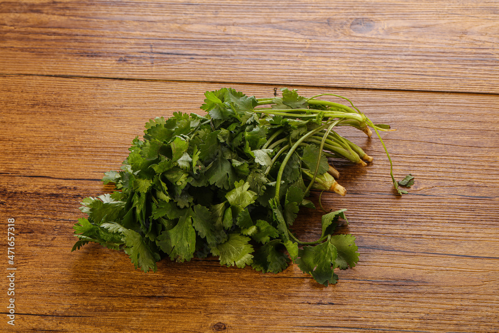 Fresh green Coriander leaves heap Fresh green Coriander leaves heap