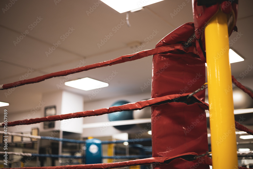 the corner of a boxing ring.