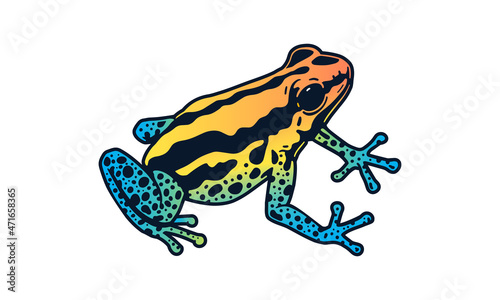 Amazon frog illustration, vector, hand drawn, isolated on light background.
