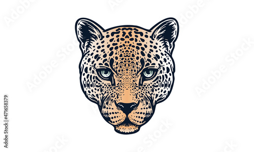 lepoard_logo_color