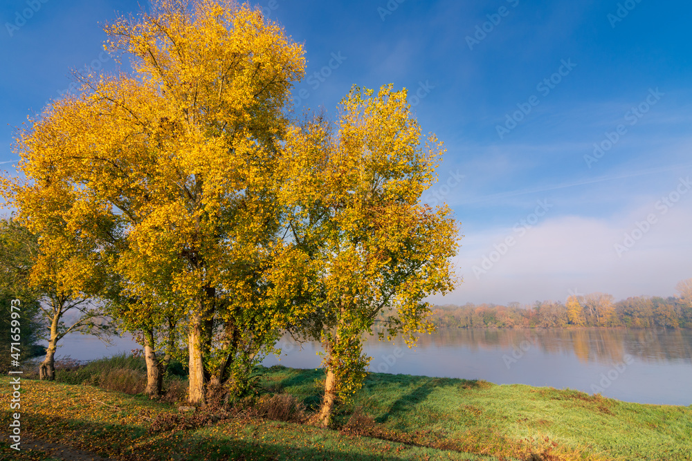 Naklejka premium La Loire