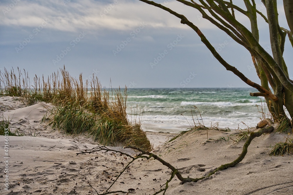 Fischland Dass Natur Outdoor Meer Fischland Dass Natur Outdoor Meer