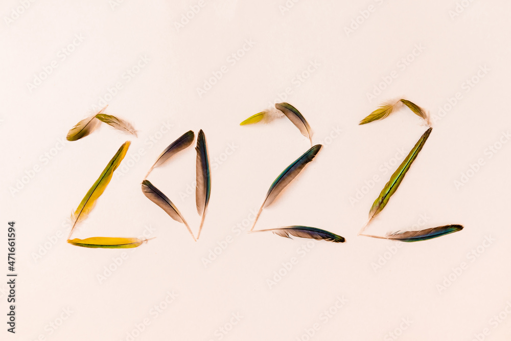 Fototapeta premium Numeral 2022 is made of green bird feathers on a white background. High quality photo