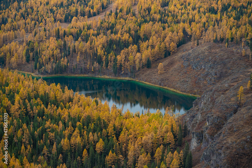 Mountain river on a background of autumn forest