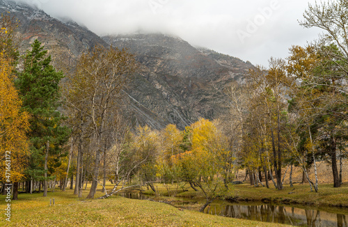 Mountain river on a background of autumn forest