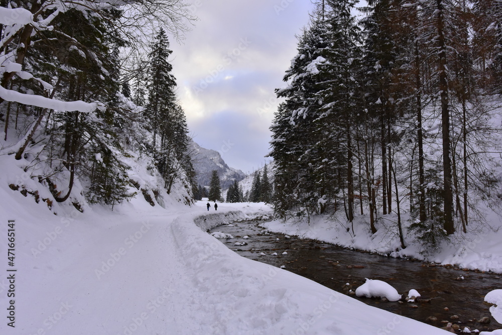 Tatry, zima, śnieg, mróz, góry, Zakopane, ferie, 