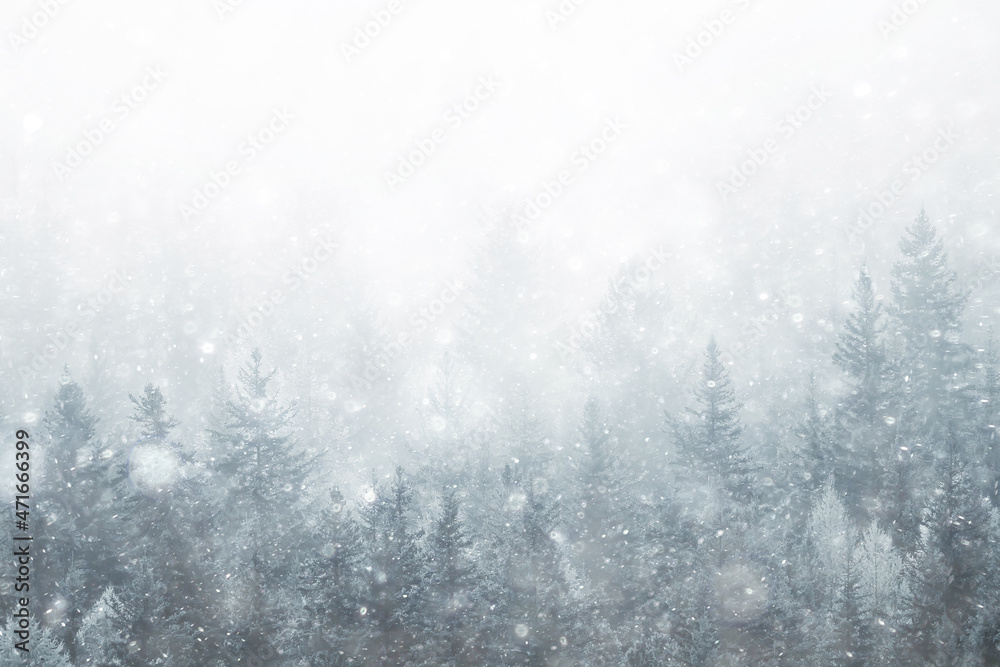winter background snowfall trees abstract blurred white winter background snowfall trees abstract blurred white