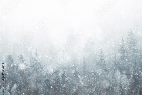 winter background snowfall trees abstract blurred white © kichigin19