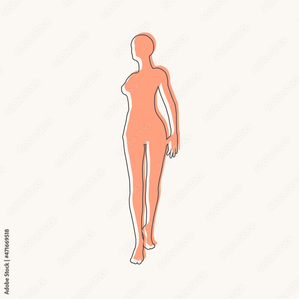 Front view human body silhouette of an adult female